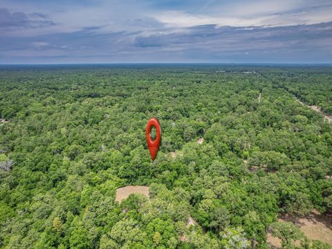Tiny photo for 3 Rosewood Road, Crawfordville, FL 32327 (MLS # 399478)