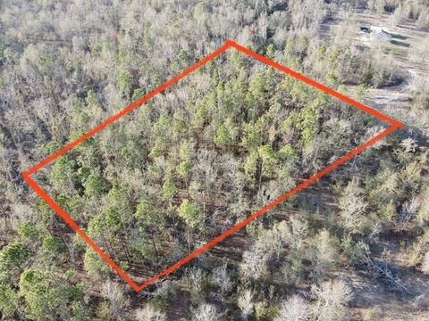 Photo of NE Cedar Trail, Pinetta, FL 32350 (MLS # 394108)