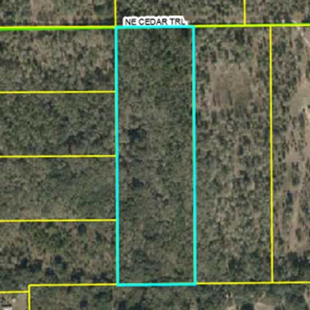 Photo of NE Cedar Trail, Pinetta, FL 32350 (MLS # 394108)