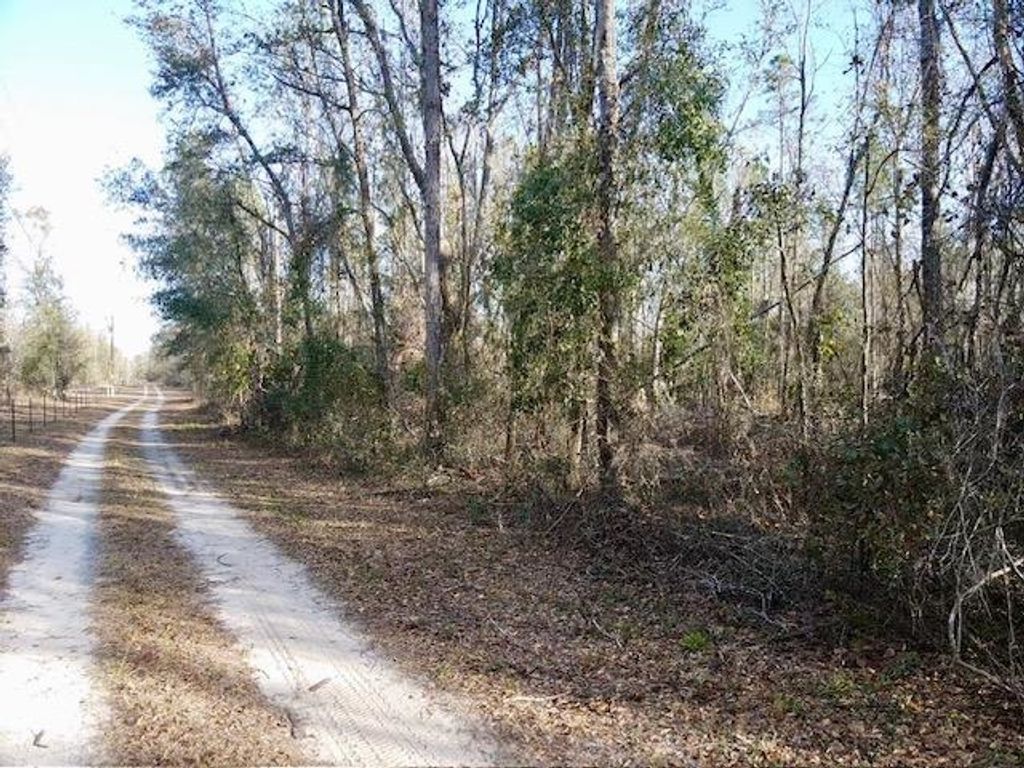 Photo of NE Cedar Trail, Pinetta, FL 32350 (MLS # 394108)