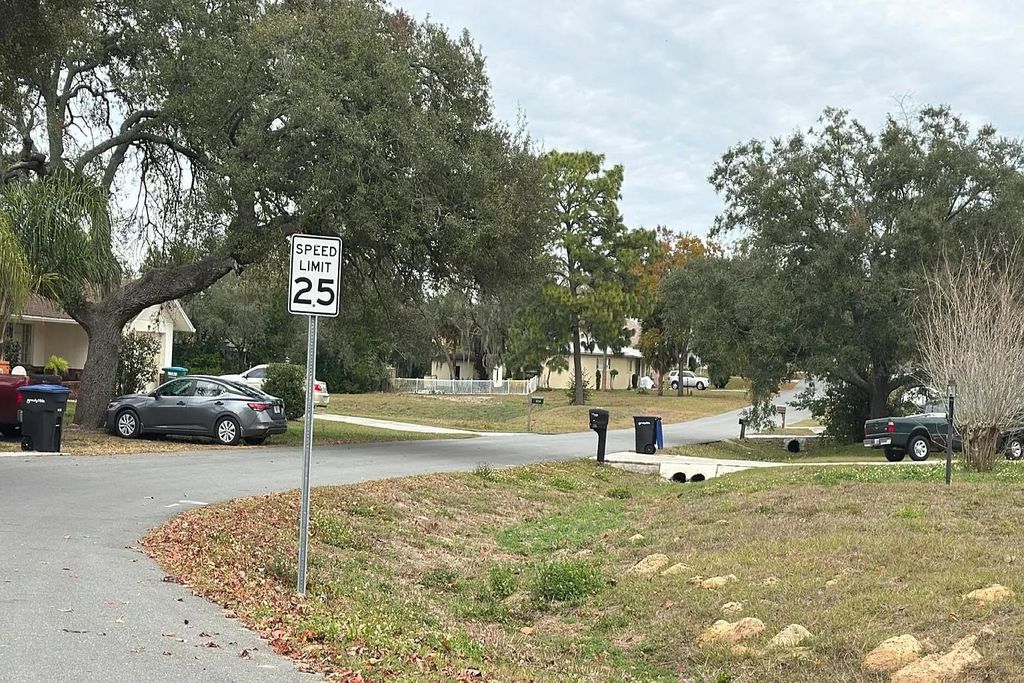 Photo of 235 S Lee Street, Other Florida, FL 34465 (MLS # 395236)