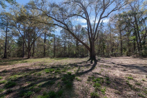 Featured picture for the property 369800