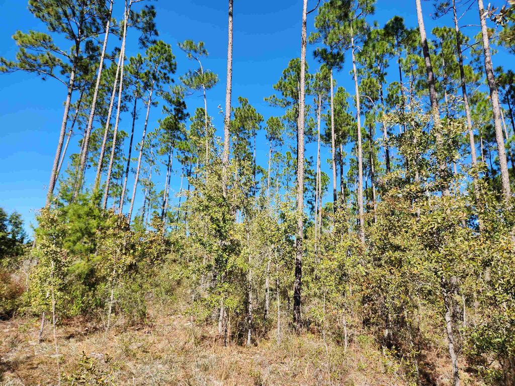 Photo of 18193 NW 18193 NW PONDEROSA Trail, Bristol, FL 32321 (MLS # 393186)