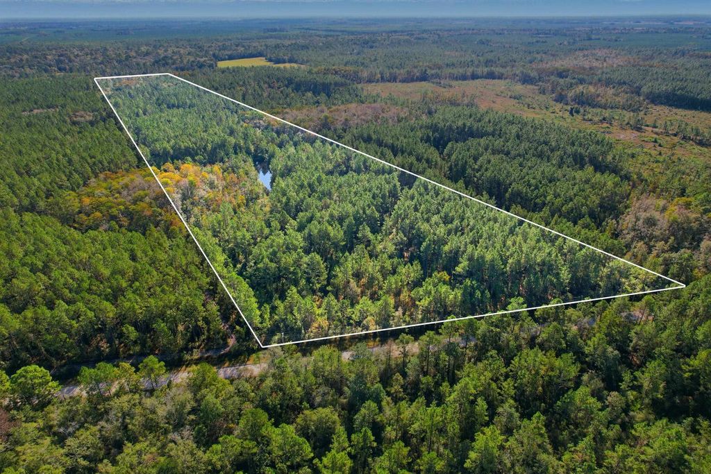 Photo of X Old Plank Road, Crawfordville, FL 32327 (MLS # 392507)