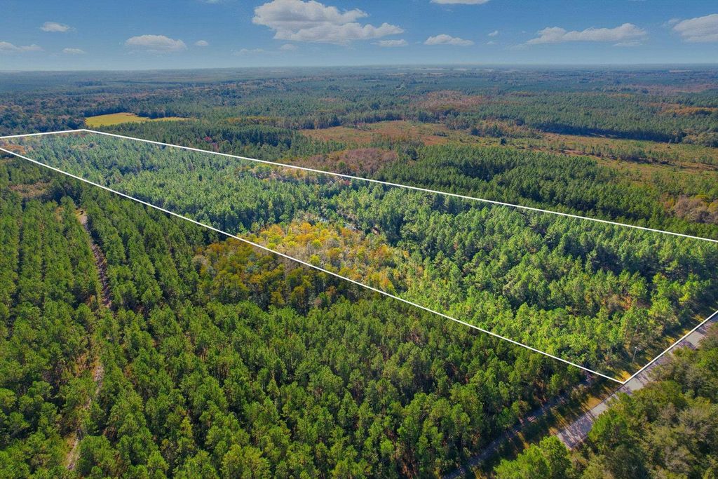 Photo of X Old Plank Road, Crawfordville, FL 32327 (MLS # 392507)