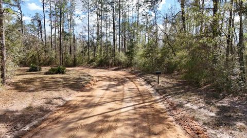 Tiny photo for 198 NE Blackjack Loop, Lee, FL 32059 (MLS # 397035)