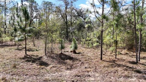 Tiny photo for 198 NE Blackjack Loop, Lee, FL 32059 (MLS # 397035)