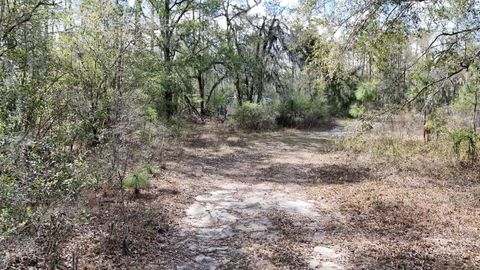 Tiny photo for 198 NE Blackjack Loop, Lee, FL 32059 (MLS # 397035)