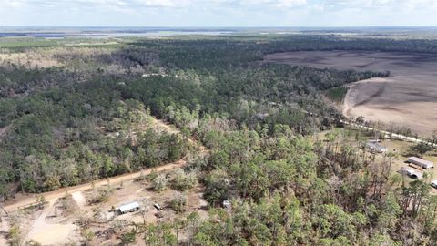 Tiny photo for 198 NE Blackjack Loop, Lee, FL 32059 (MLS # 397035)