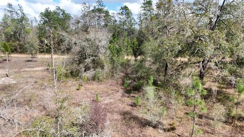 Tiny photo for 198 NE Blackjack Loop, Lee, FL 32059 (MLS # 397035)