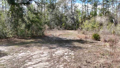 Tiny photo for 198 NE Blackjack Loop, Lee, FL 32059 (MLS # 397035)