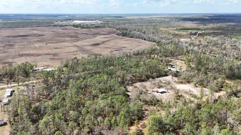 Tiny photo for 198 NE Blackjack Loop, Lee, FL 32059 (MLS # 397035)