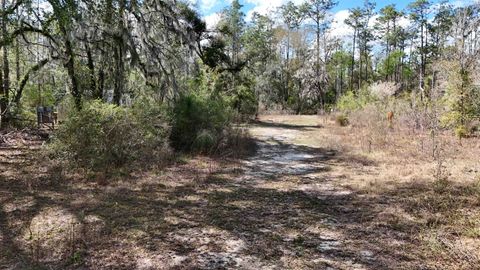 Tiny photo for 198 NE Blackjack Loop, Lee, FL 32059 (MLS # 397035)