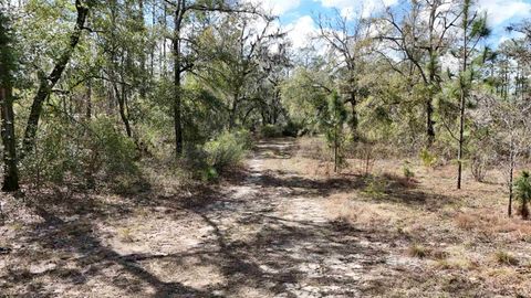 Tiny photo for 198 NE Blackjack Loop, Lee, FL 32059 (MLS # 397035)