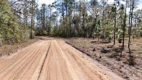 Tiny photo for 198 NE Blackjack Loop, Lee, FL 32059 (MLS # 397035)