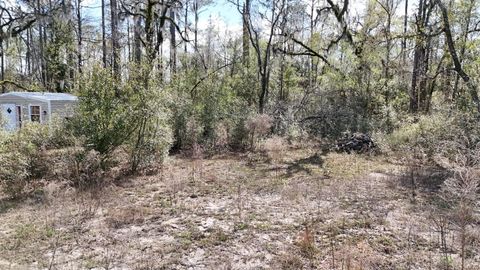 Tiny photo for 198 NE Blackjack Loop, Lee, FL 32059 (MLS # 397035)