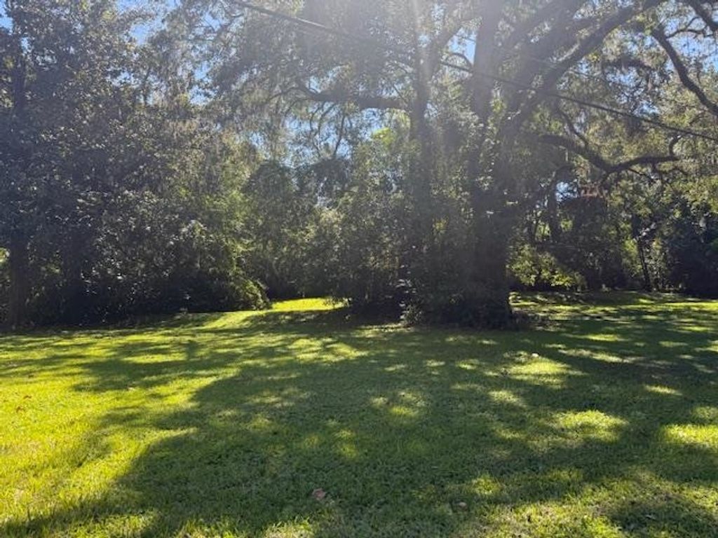 Photo of 1107 Myers Park Drive, Tallahassee, FL 32301 (MLS # 392236)