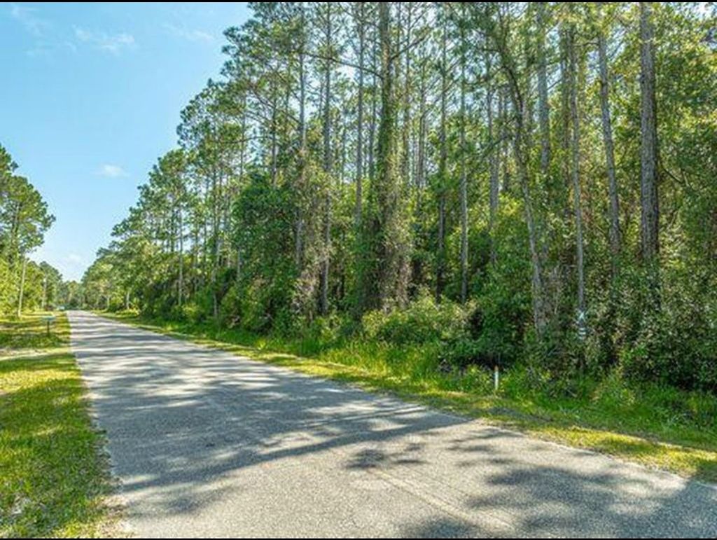 Photo of 118 Delaine Circle, East Point, FL 32328 (MLS # 393647)