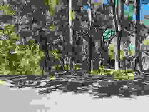 Tiny photo for xxx Trescott Drive, Tallahassee, FL 32308 (MLS # 400772)