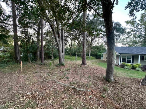 Tiny photo for xxx Trescott Drive, Tallahassee, FL 32308 (MLS # 400772)