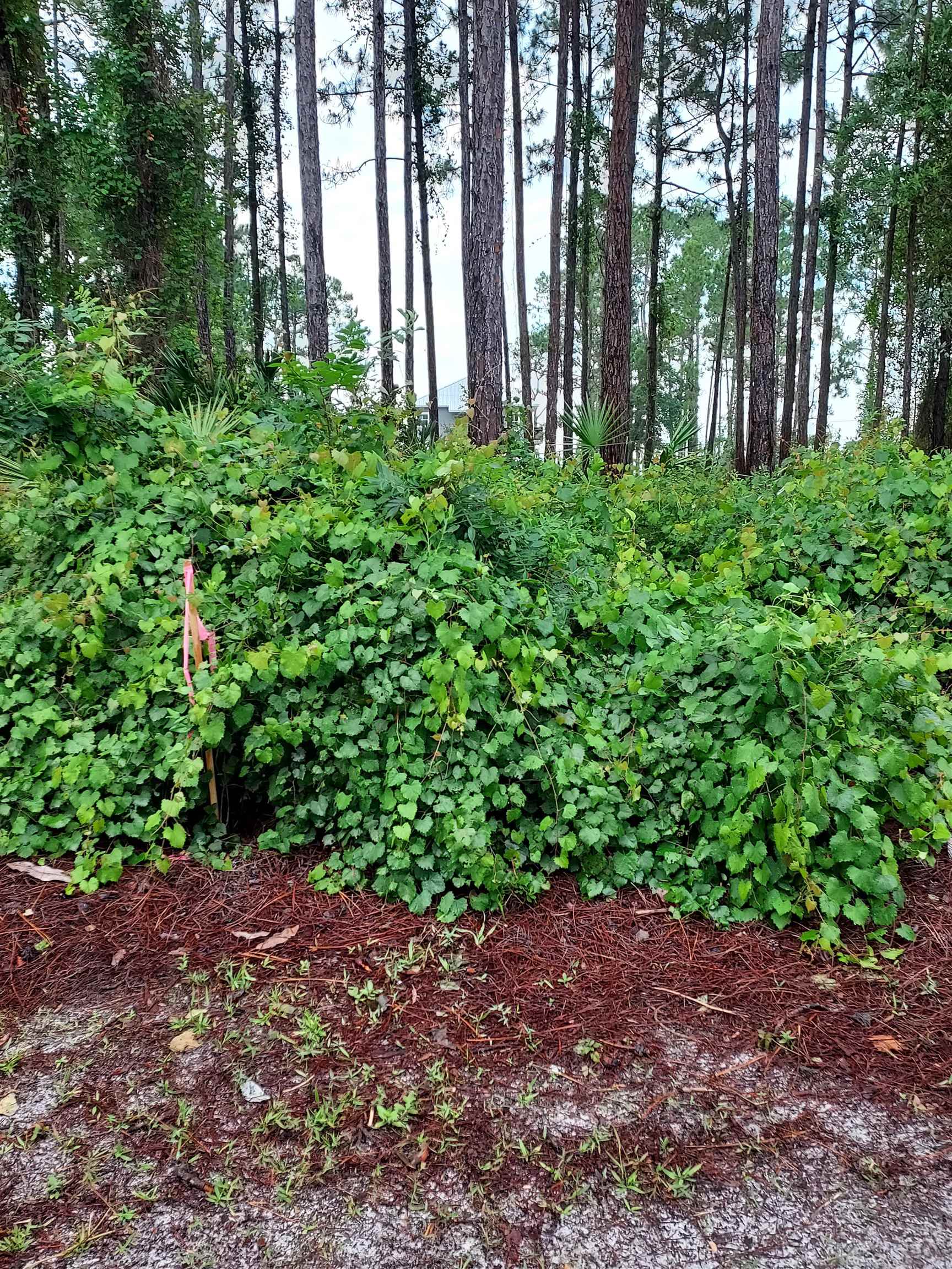 Photo 1 of 14 — 116 Royal Tern Way, Carrabelle, FL 32322