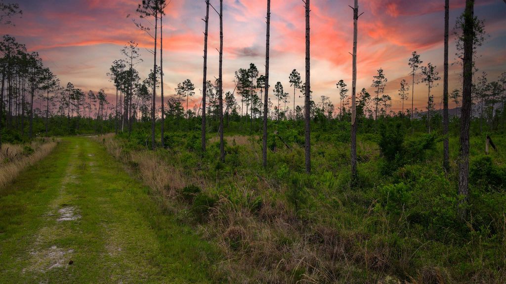 Photo of Lot 50 Circle Block Loop Loop, Perry, FL 32348 (MLS # 392367)
