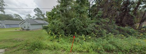 Photo of 95 King Bee Drive, Crawfordville, FL 32327 (MLS # 399452)
