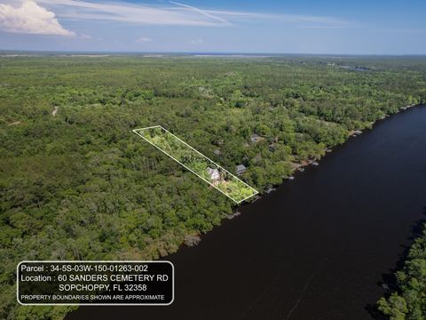 60 Sanders Cemetery Road, Sopchoppy, FL 32358 - MLS#: 385446