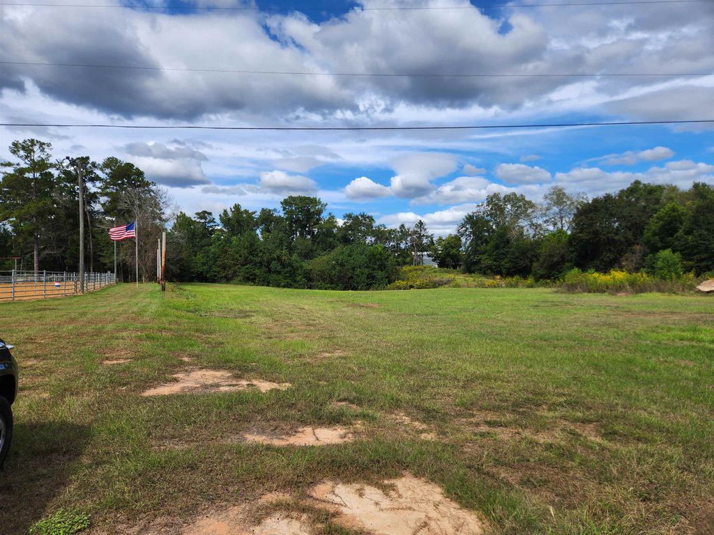 Photo of XXX E Pavilion, Quincy, FL 32351 (MLS # 391812)