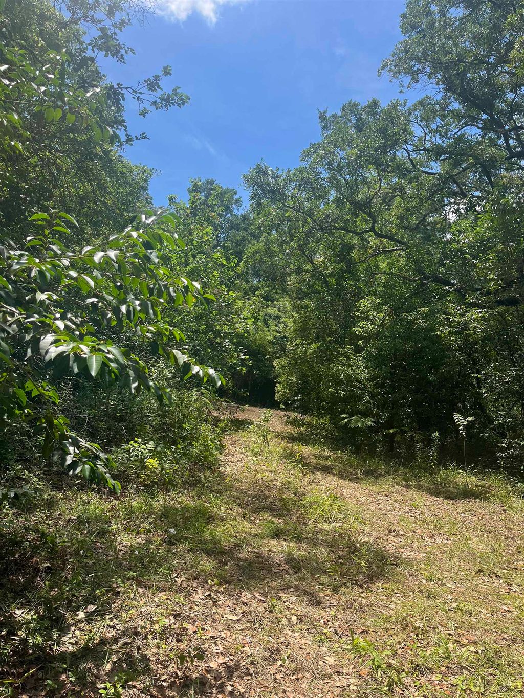 Photo of 1612 OLD BAINBRIDGE Road, Tallahassee, FL 32303 (MLS # 400345)