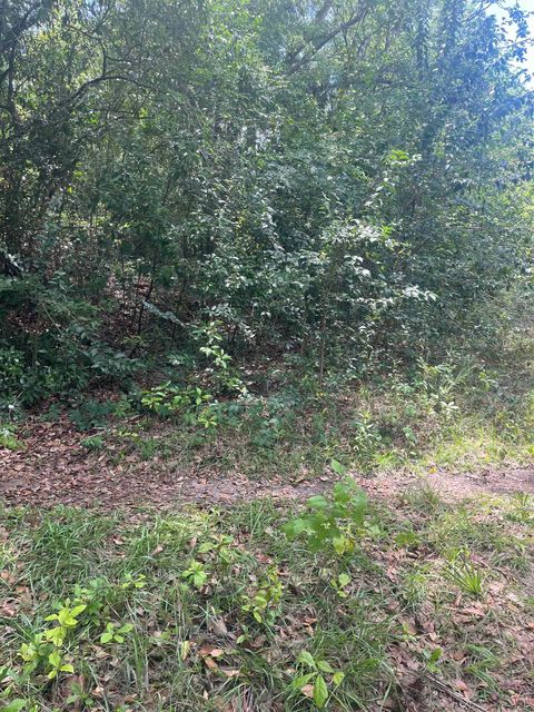 Tiny photo for 1612 OLD BAINBRIDGE Road, Tallahassee, FL 32303 (MLS # 400345)