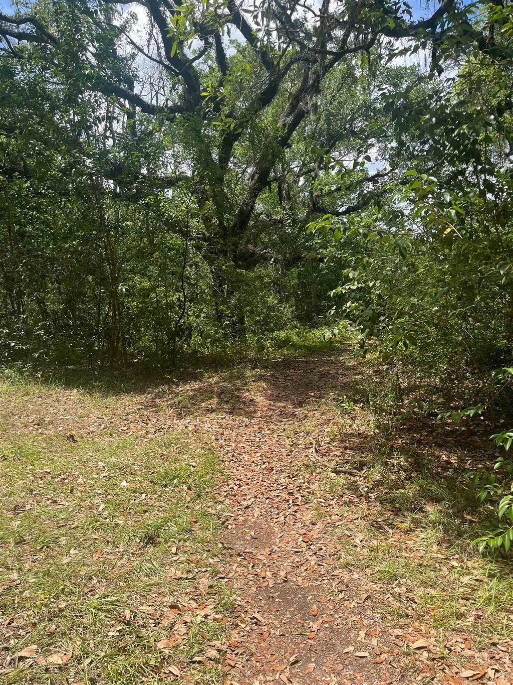 Photo of 1612 OLD BAINBRIDGE Road, Tallahassee, FL 32303 (MLS # 400345)