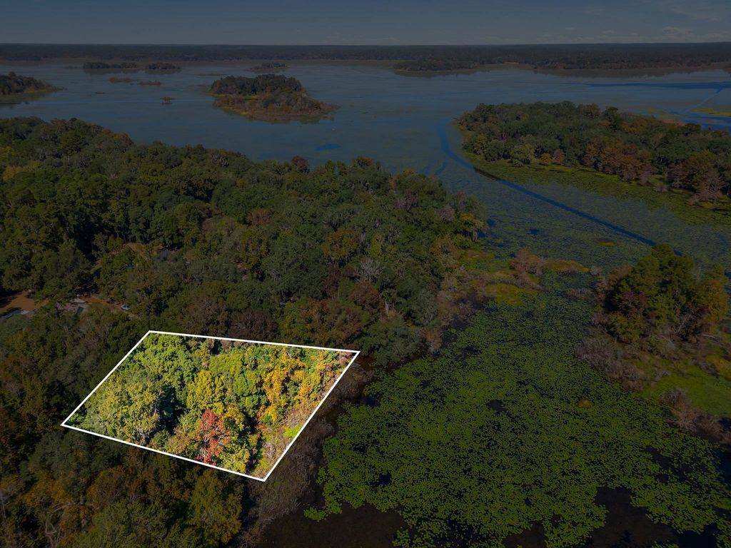 Photo of 0 Lake Iamonia Drive, Tallahassee, FL 32312 (MLS # 395231)