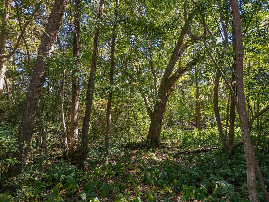 Photo of 0 Lake Iamonia Drive, Tallahassee, FL 32312 (MLS # 395231)