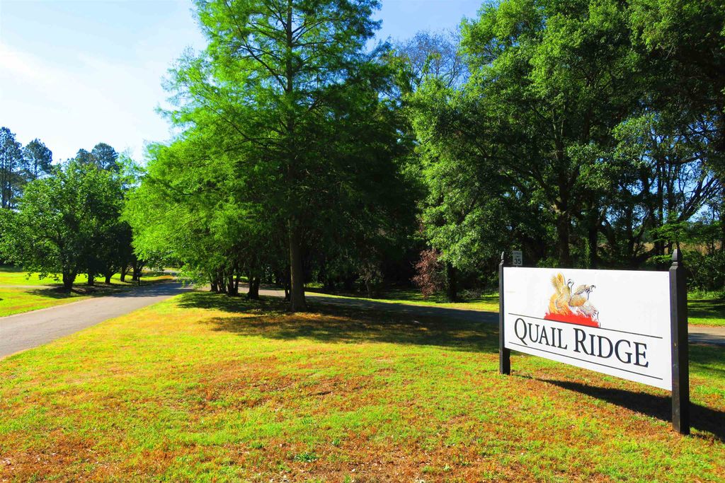 Photo of 14 Sparrow Court, Havana, FL 32333 (MLS # 399154)