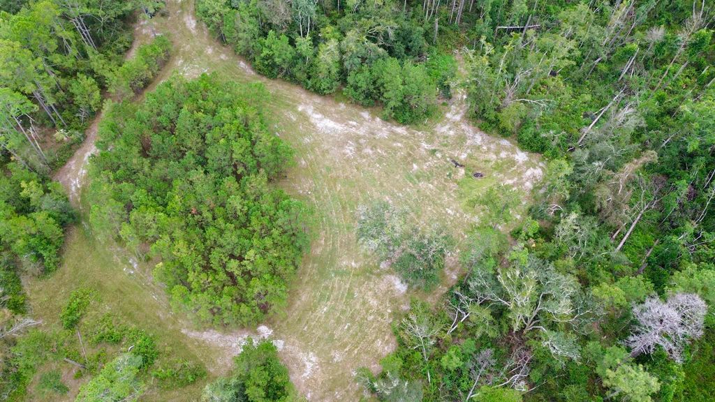 Photo of 7440 Alton Wentworth Road, Greenville, FL 32331 (MLS # 391660)