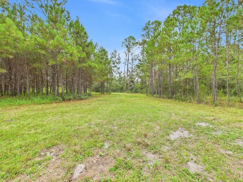Photo of 7440 Alton Wentworth Road, Greenville, FL 32331 (MLS # 391660)