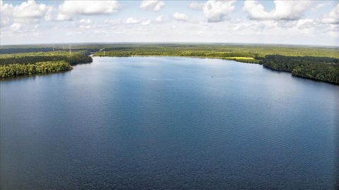 Tiny photo for 21006 LANIER Court, Tallahassee, FL 32310 (MLS # 388954)