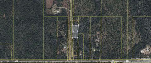 Tiny photo for XXX Holt Lane, Tallahassee, FL 32310 (MLS # 389685)