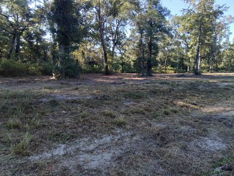 Lot 90 Coastal Highway 98 Crawfordville FL 32327