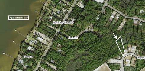 297 Sago Drive East Point FL 32328