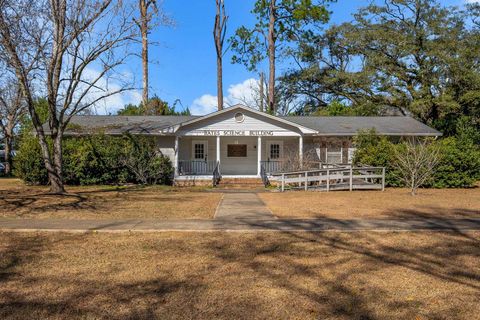 Tiny photo for 91 Old Mt Pleasant Road, Quincy, FL 32352 (MLS # 396788)