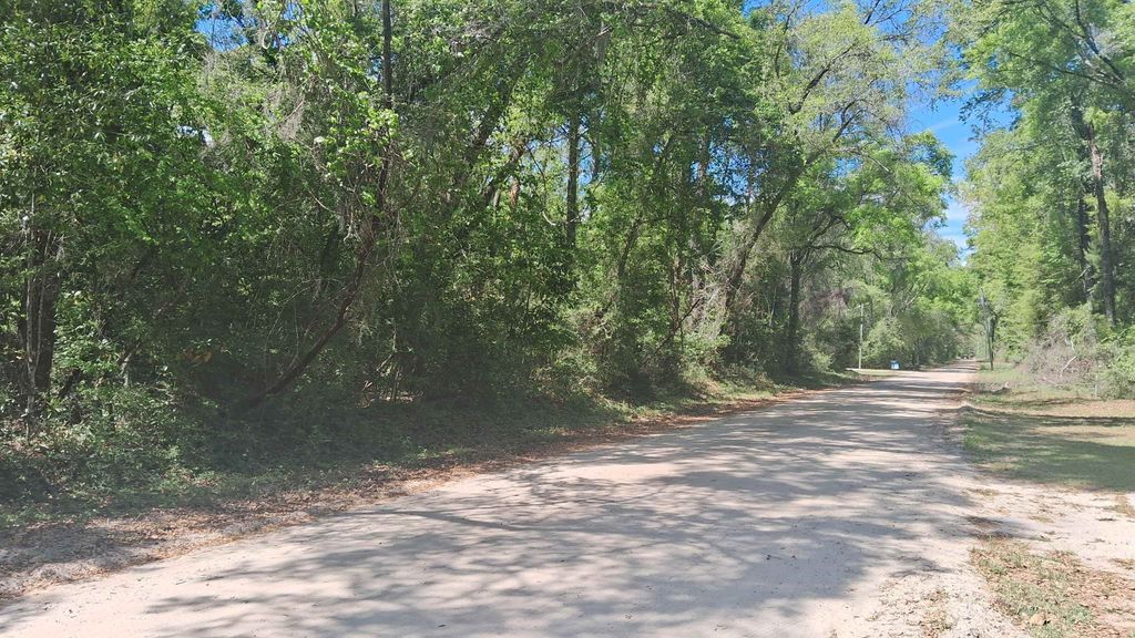 Photo of 0 Iroquois Road, Crawfordville, FL 32327 (MLS # 398230)