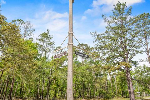 Tiny photo for 23390 Elmwood Lane, Other Florida, FL 32064 (MLS # 399432)