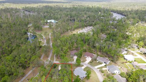 Tiny photo for 23390 Elmwood Lane, Other Florida, FL 32064 (MLS # 399432)