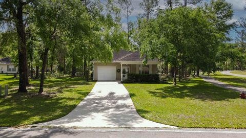 Tiny photo for 23390 Elmwood Lane, Other Florida, FL 32064 (MLS # 399432)