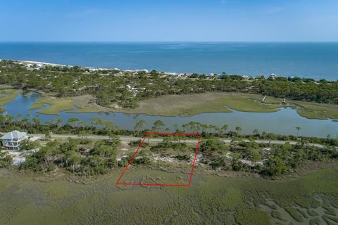 259 Hidden Harbor Drive Alligator Point FL 32346