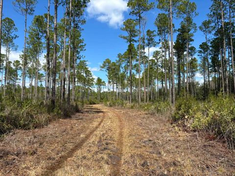 0 Clark Road Lake Talquin FL 32351