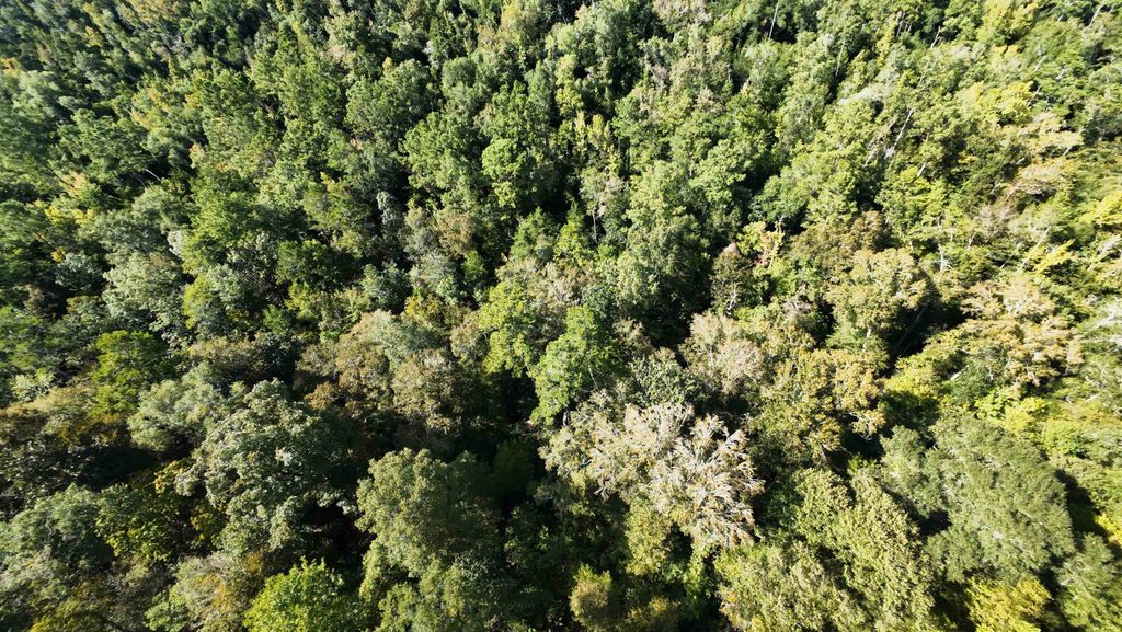 Photo of xx NW COUNTY ROAD 270 Road, Bristol, FL 32321 (MLS # 392548)