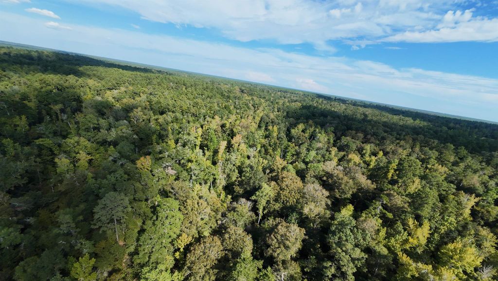 Photo of xx NW COUNTY ROAD 270 Road, Bristol, FL 32321 (MLS # 392548)